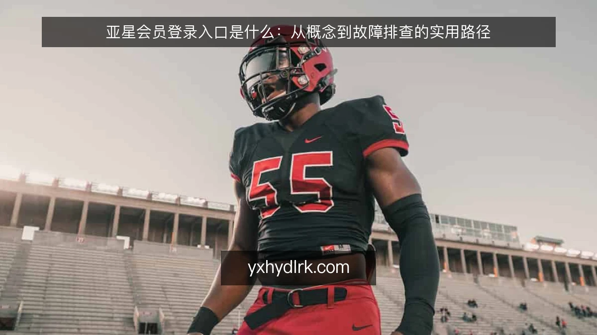 亚星会员登录入口是什么:从概念到故障排查的实用路径