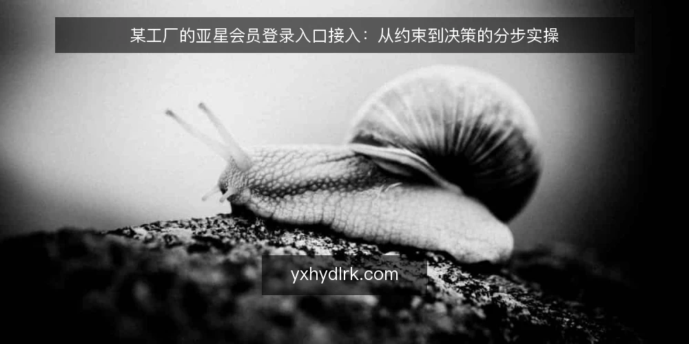 某工厂的亚星会员登录入口接入:从约束到决策的分步实操 — 准备:盘点账号来源与准入约束 配图